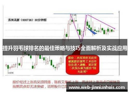提升羽毛球排名的最佳策略与技巧全面解析及实战应用
