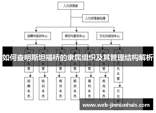 如何查明斯坦福桥的隶属组织及其管理结构解析